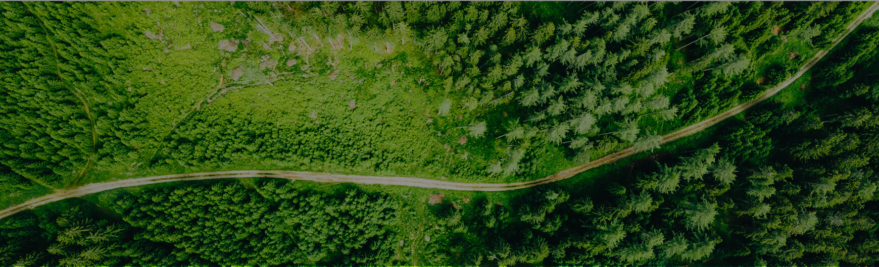 2121·Ç·²¡¤(ÖйúÓÎ)ÌåÓý¹Ù·½ÍøÕ¾